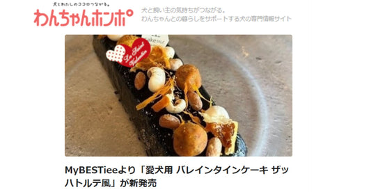 【メディア掲載情報】わんちゃんホンポ「愛犬用バレンタインケーキ ザッハトルテ風」が掲載されました