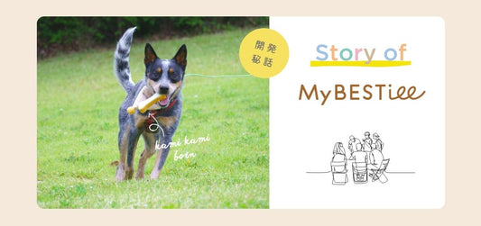 【Story of MyBESTiee】カミカミボーン ラテックス トイ 開発秘話