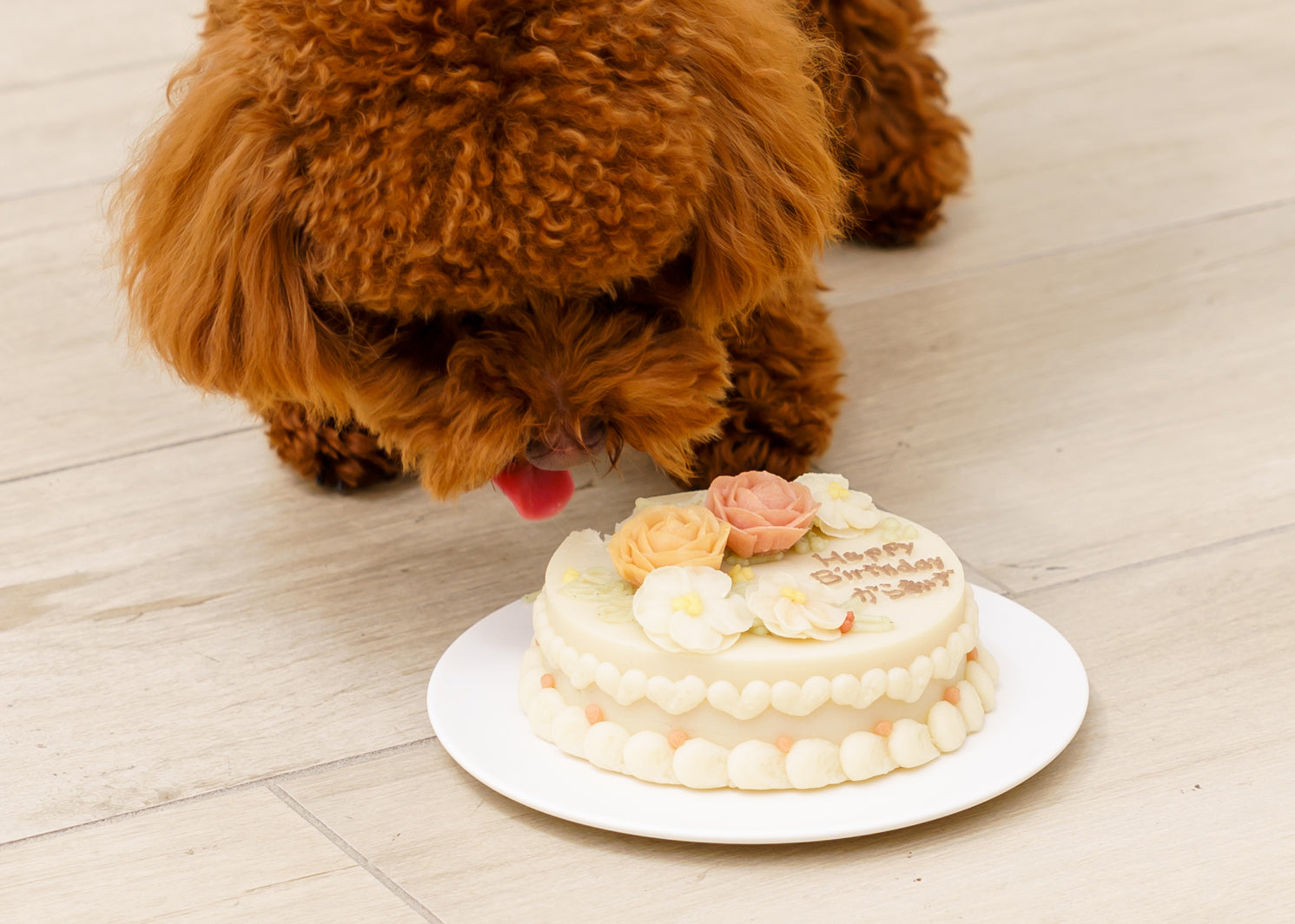 ケーキ・名入れ