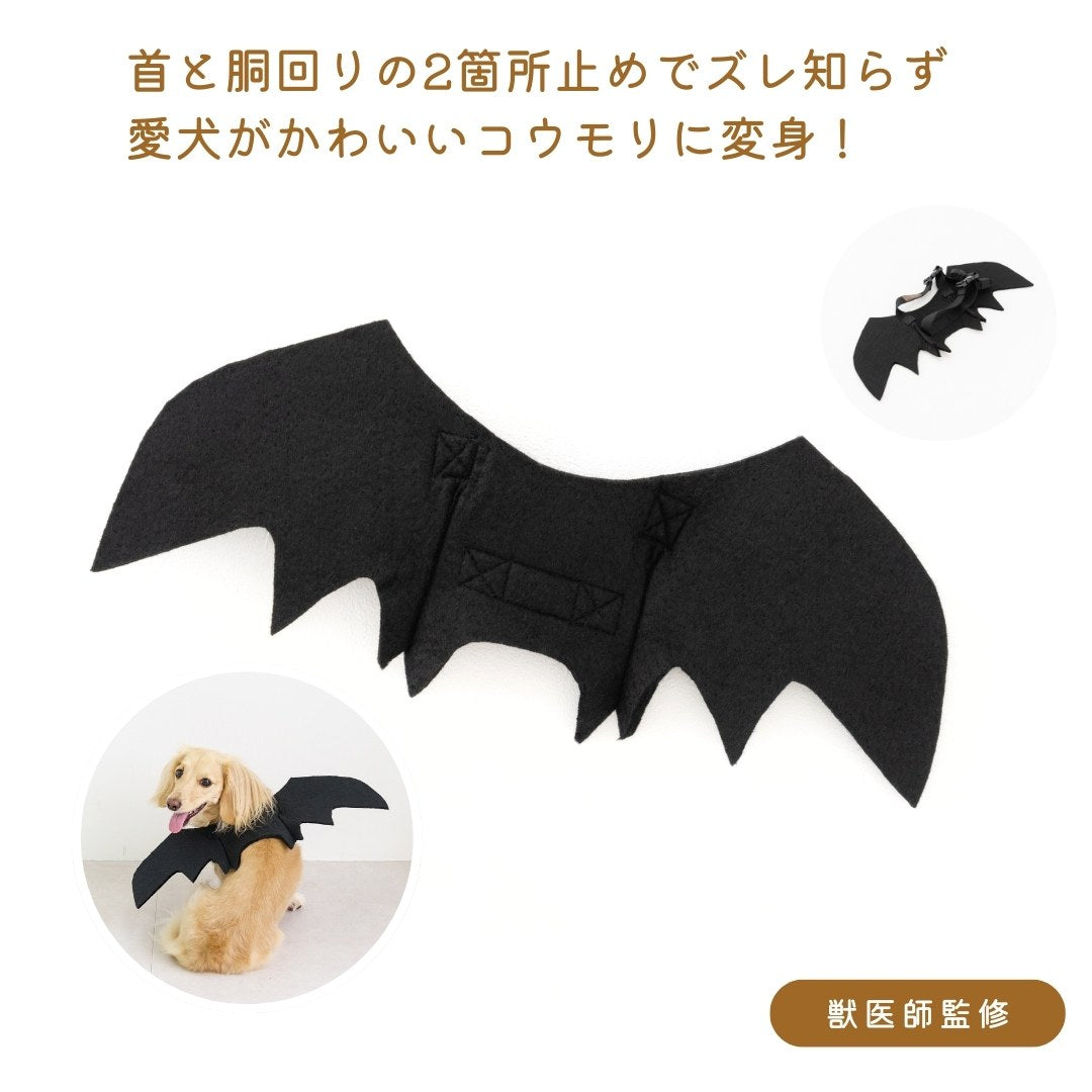Cute wing of the bat – MyBESTiee