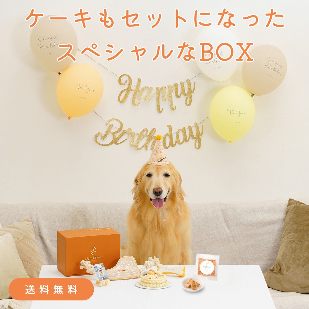 ハッピーバースデーBOX Grand – MyBESTiee