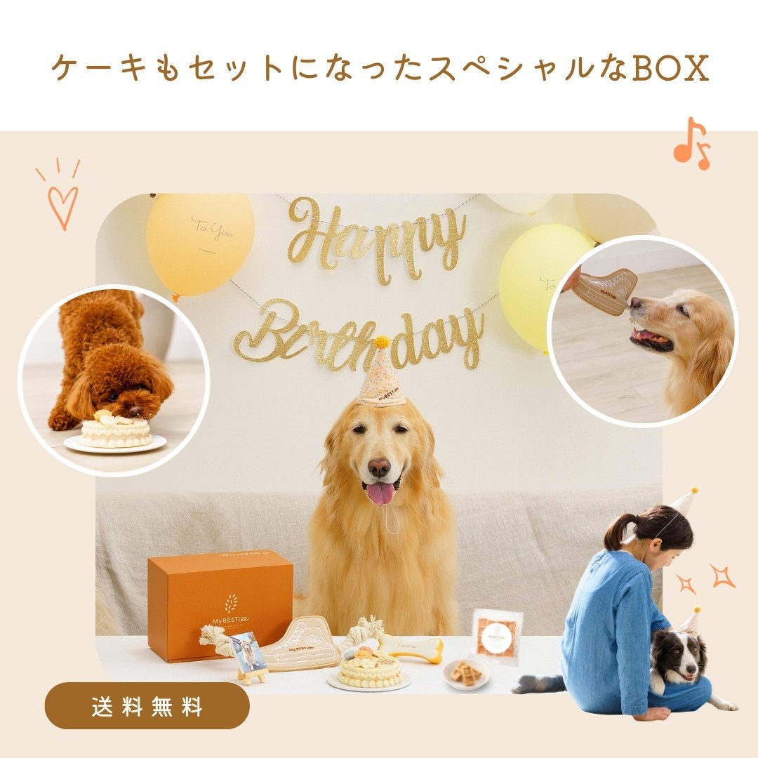 限定価格】ハッピーバースデーBOX Grand – MyBESTiee