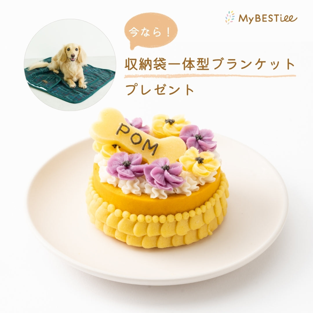 愛犬用 ハッピーケーキ かぼちゃ