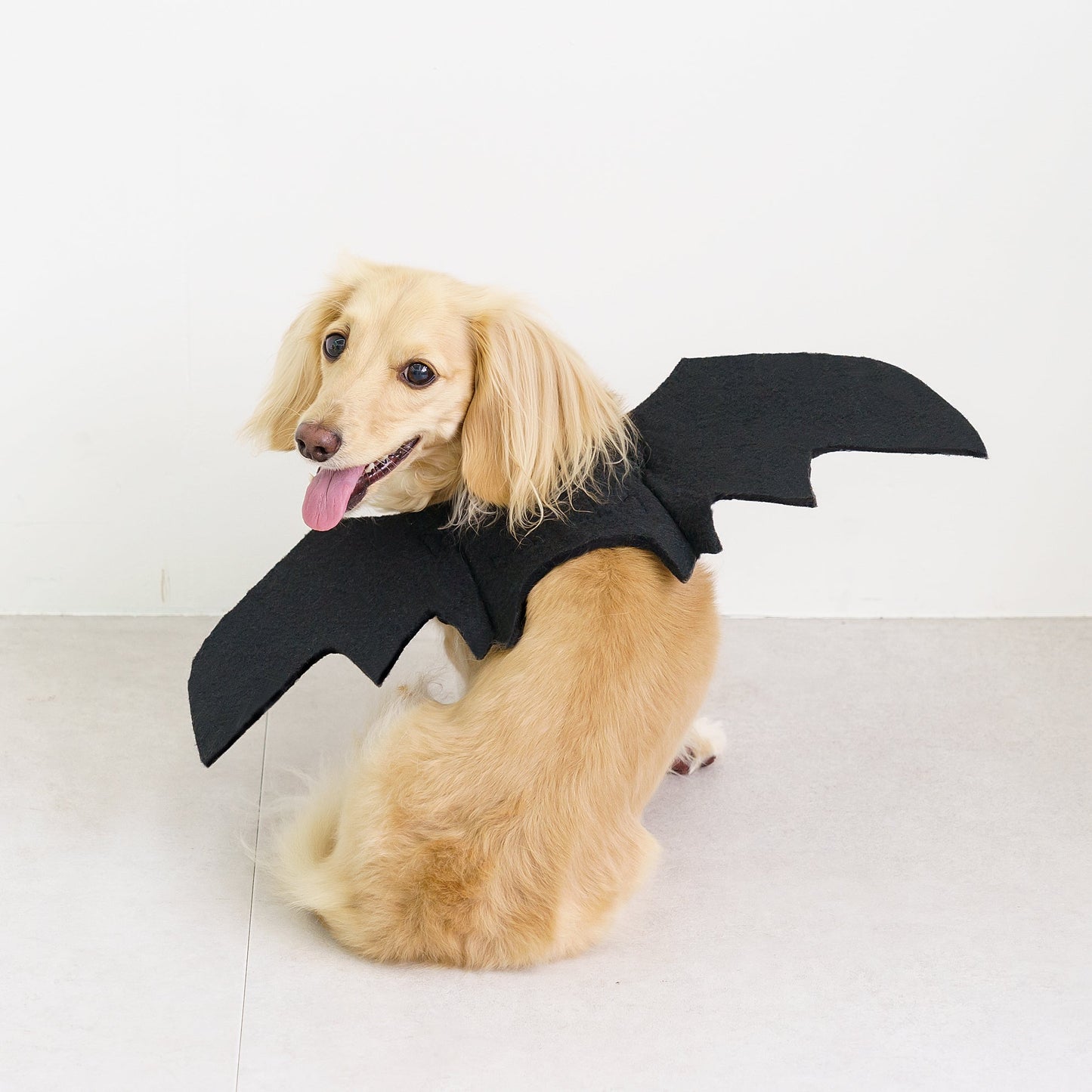 【セット販売専用】ハロウィン ウイングコスチューム
