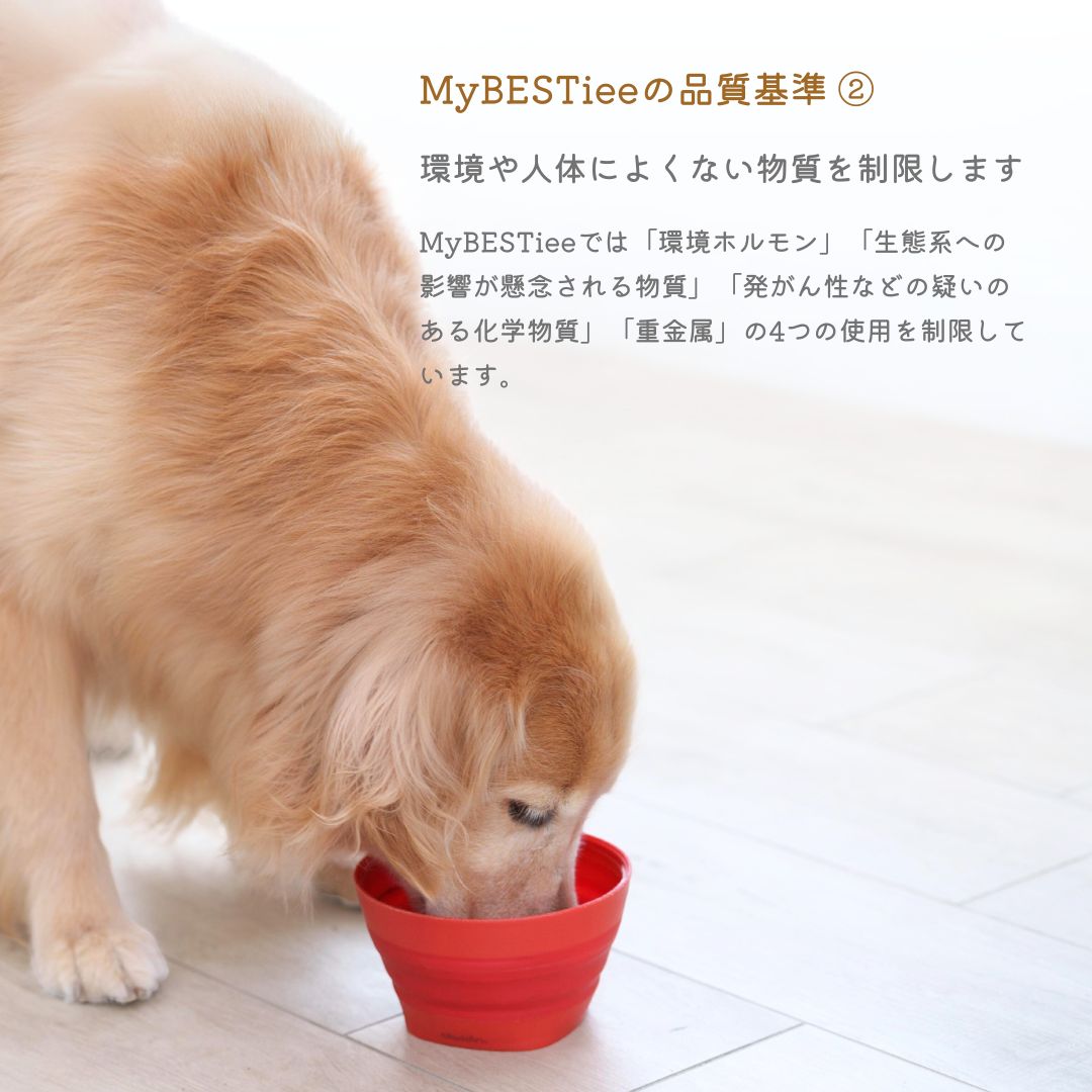 愛犬用 アニバーサリーケーキ フラワー