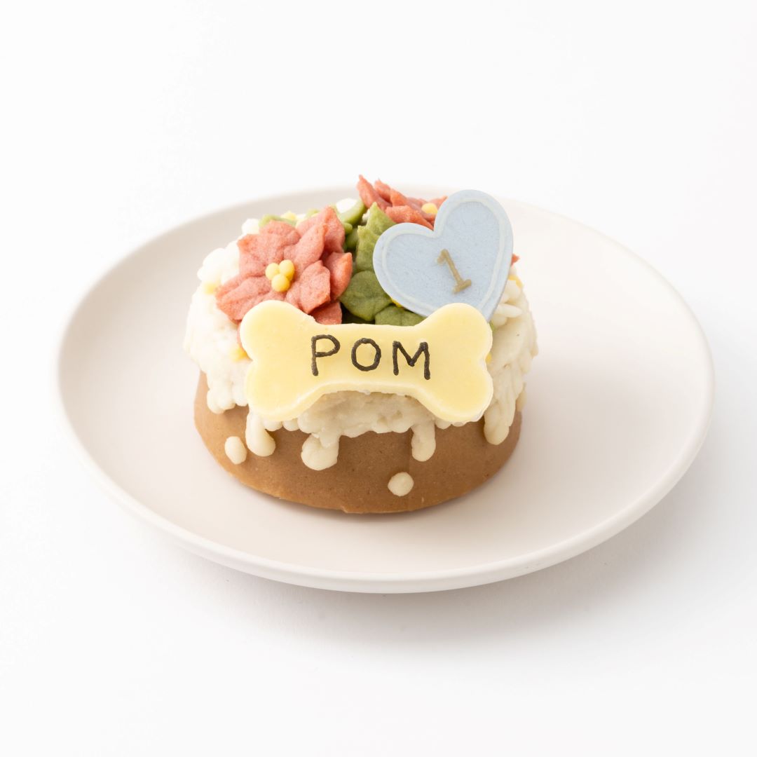 愛犬用 ハッピーケーキ ステラ