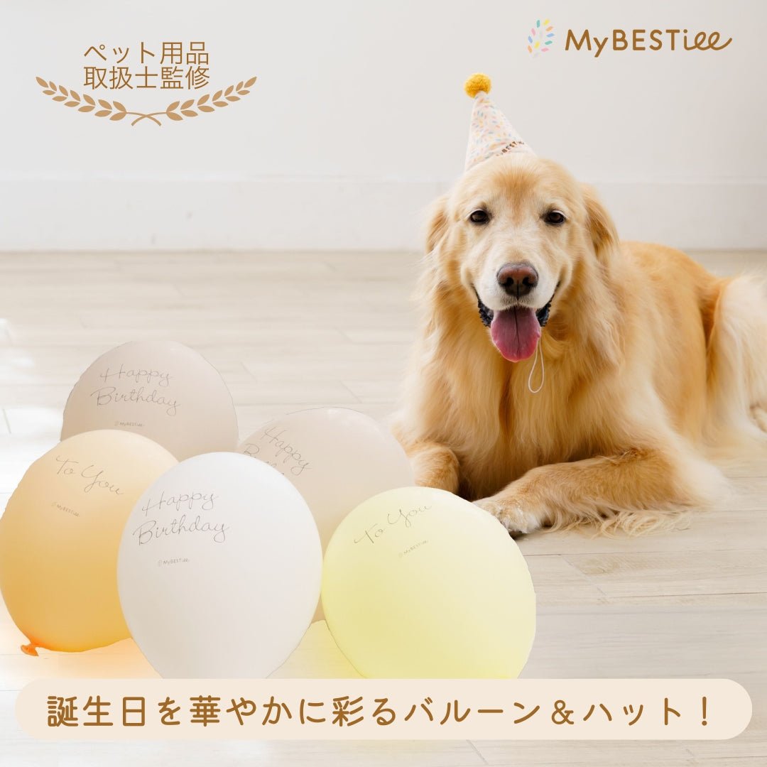 パーティーコーンハット&ハッピーバースデーバルーン ペールトーン 5個セット
