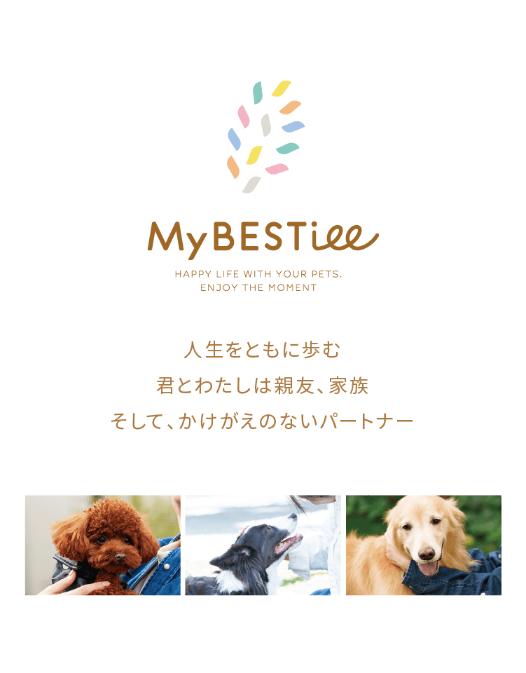 MyBESTiee l 愛犬と楽しめるハッピーバースデーBOX