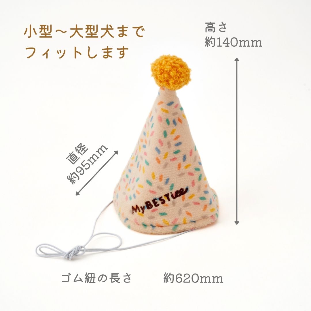 パーティーコーンハット&ハッピーバースデーバルーン ペールトーン 5個セット