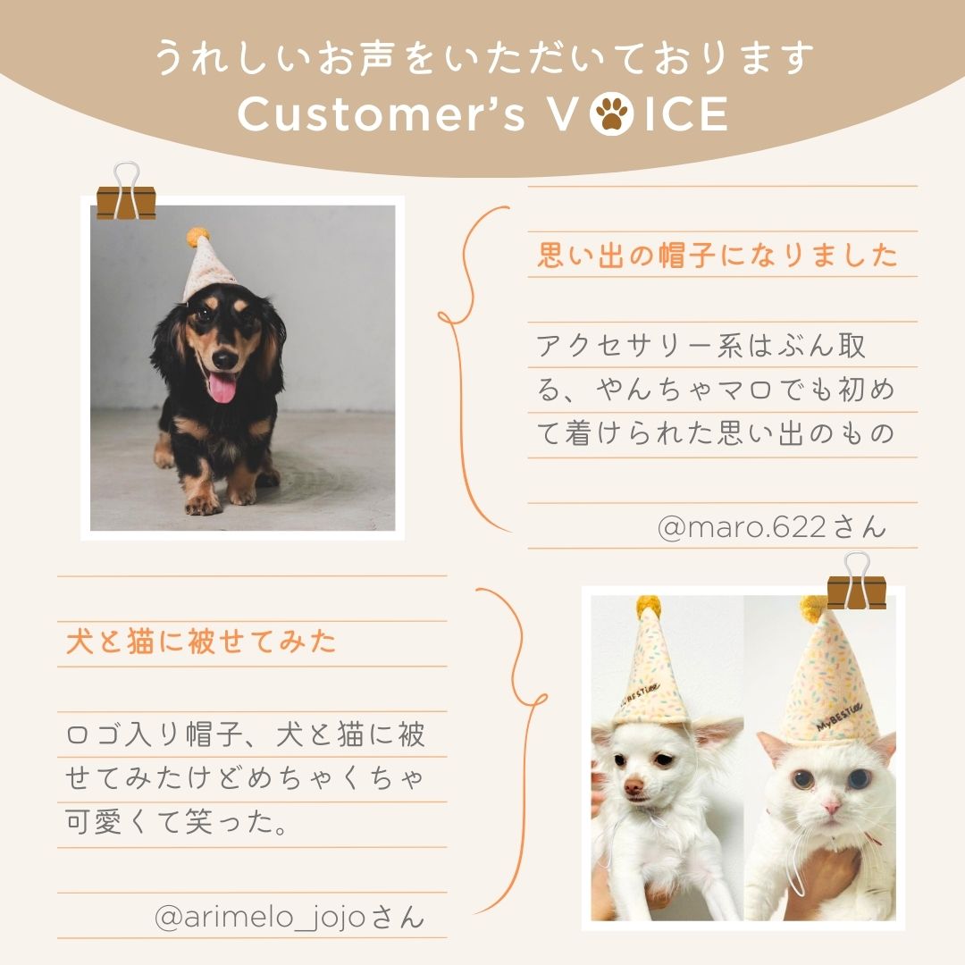 パーティーコーンハット&ハッピーバースデーバルーン ペールトーン 5個セット