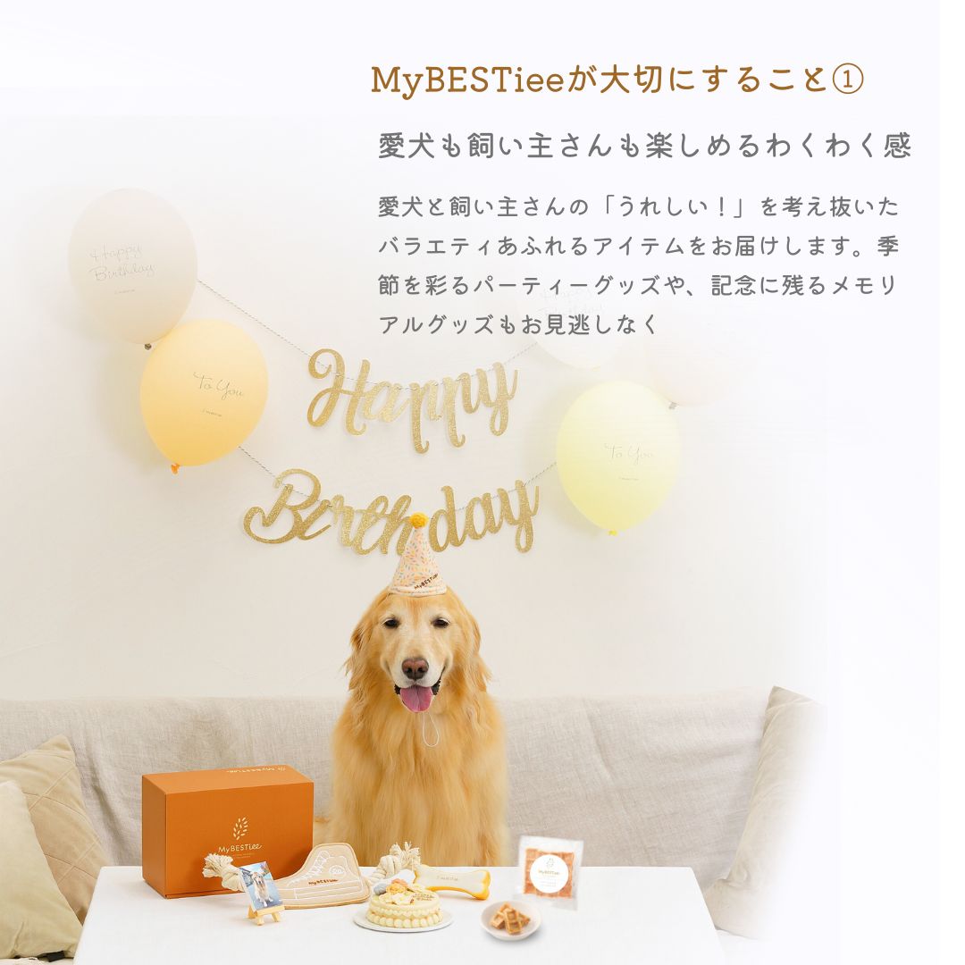 愛犬用 アニバーサリーケーキ フラワー