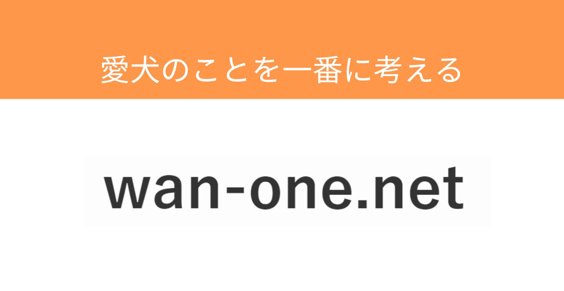 【メディア掲載情報】wan-one.netに「ハッピーバースデーBOX」が掲載されました