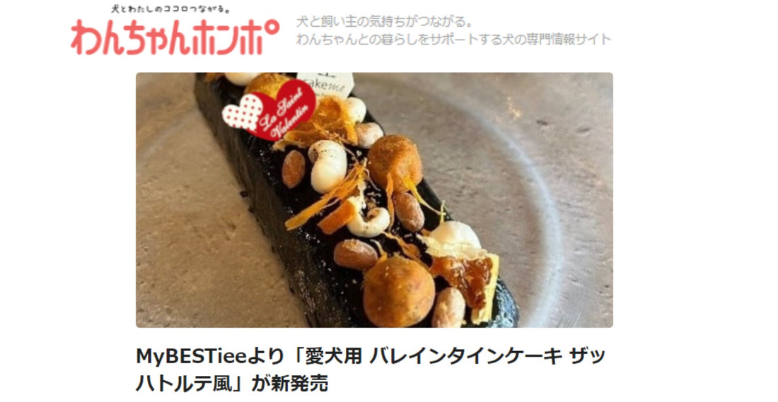 【メディア掲載情報】わんちゃんホンポ「愛犬用バレンタインケーキ ザッハトルテ風」が掲載されました
