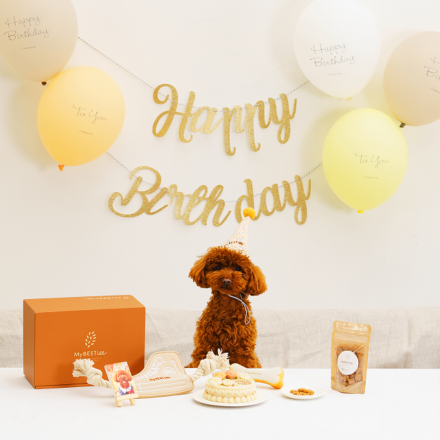 愛犬の誕生日を特別な一日に！お勧めのお祝い方法6選