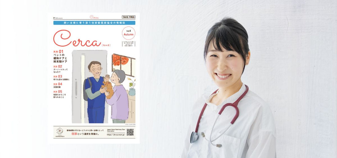 【獣医師執筆】往診だからこそ診られること