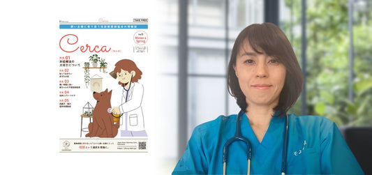 【獣医師執筆】対症療法の大切さについて