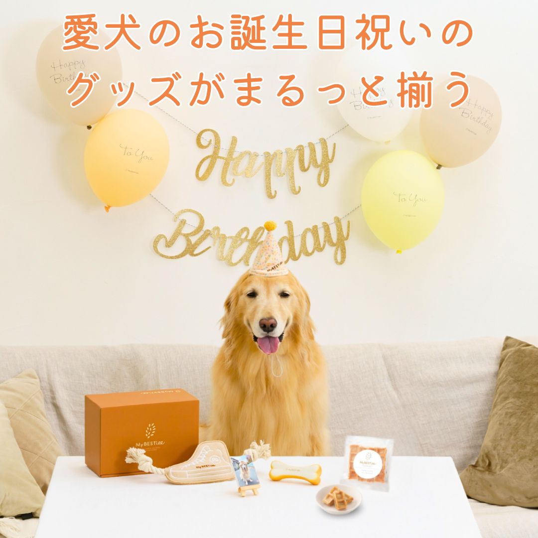 MyBESTiee l 愛犬の特別な一日をお祝いできるハッピーバースデーBOX