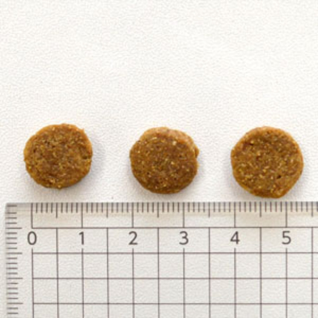 ナチュラリー・フレッシュ　チキン＆ダック（2.27kg）