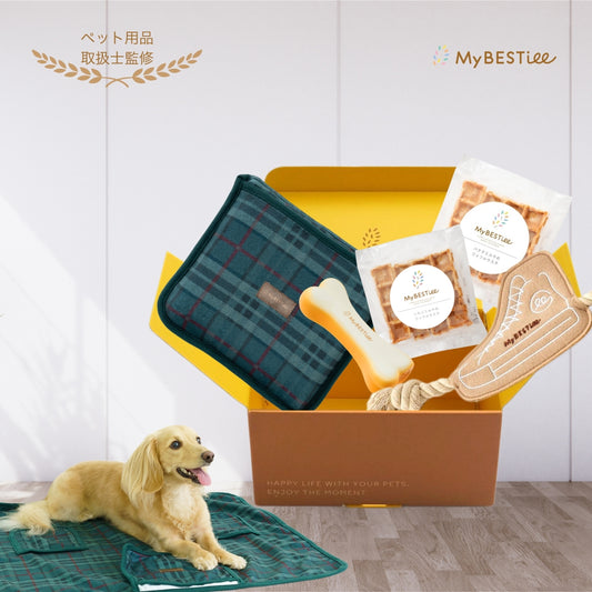 【NEW】プレゼントBOX