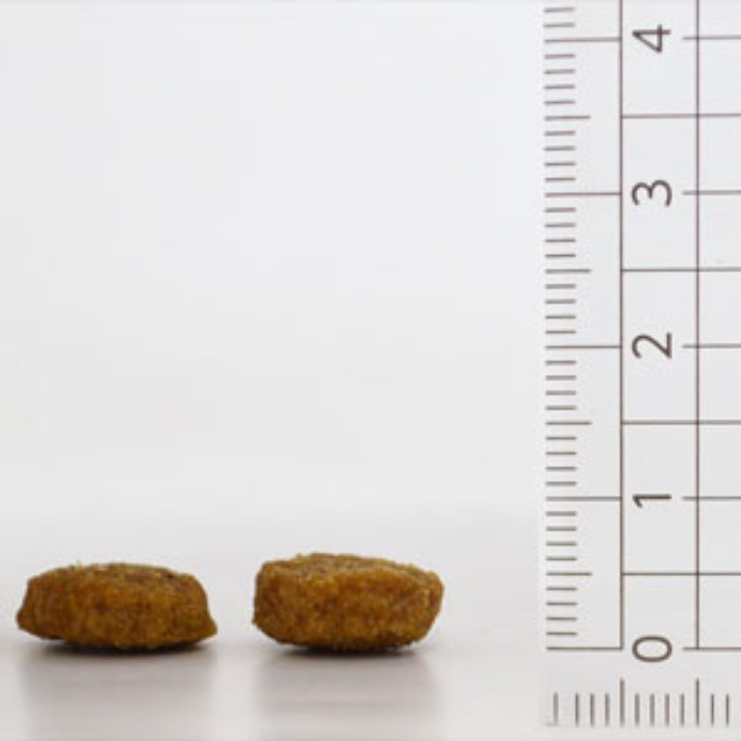 ナチュラリー・フレッシュ　チキン＆ダック（2.27kg）