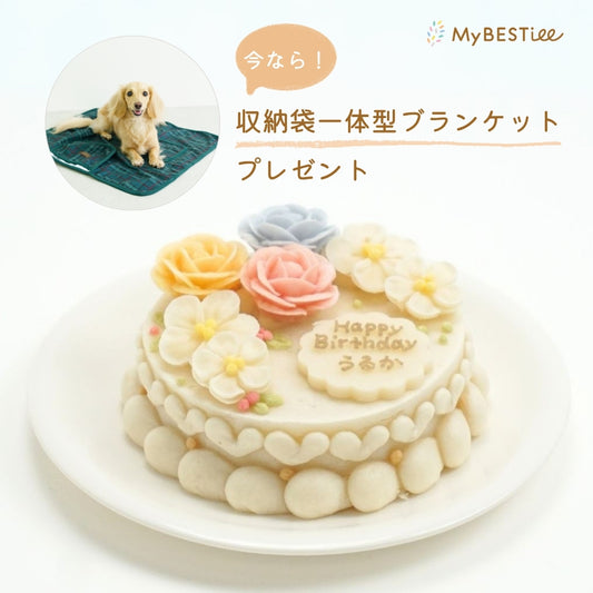 愛犬用 アニバーサリーケーキ フラワー