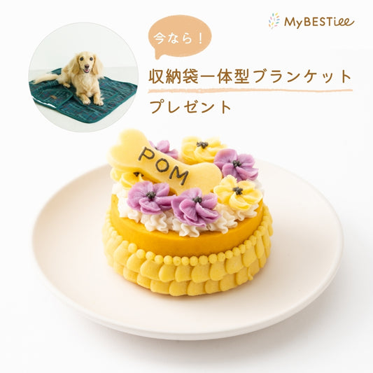 愛犬用 ハッピーケーキ かぼちゃ