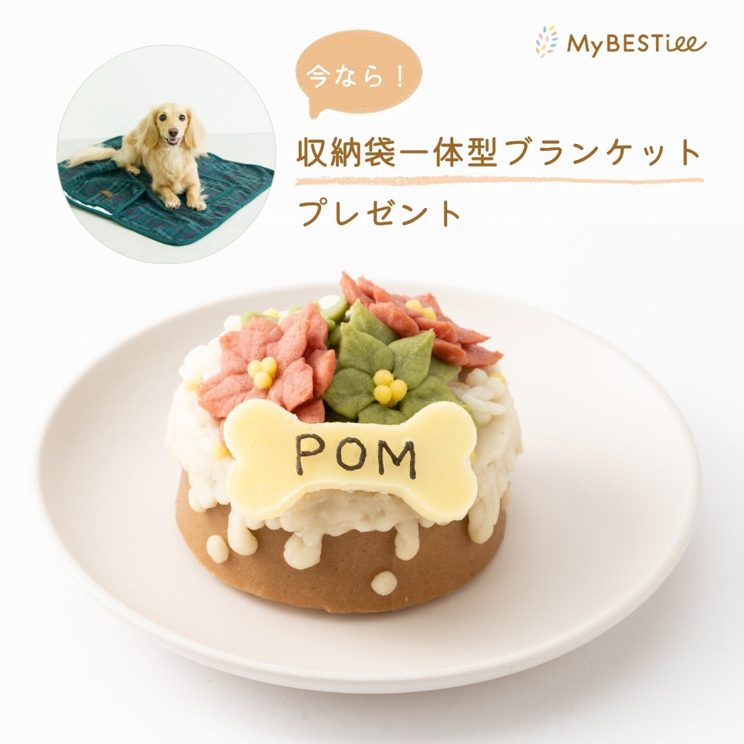 愛犬用 ハッピーケーキ ステラ