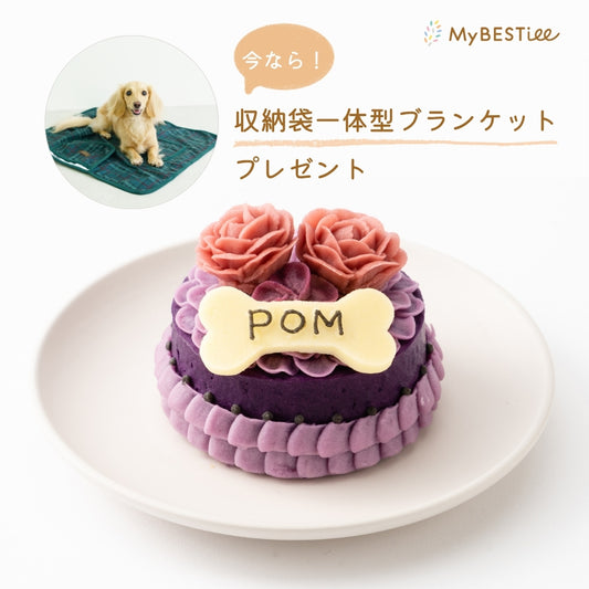 愛犬用 ハッピーケーキ 紫芋