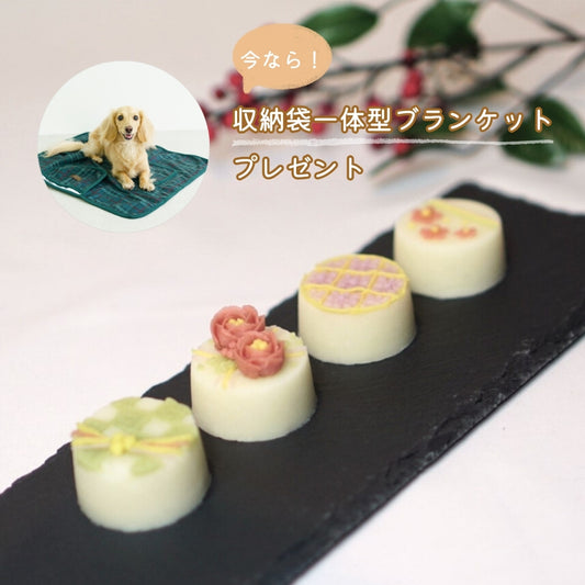 愛犬用 プチケーキ ハーモニー