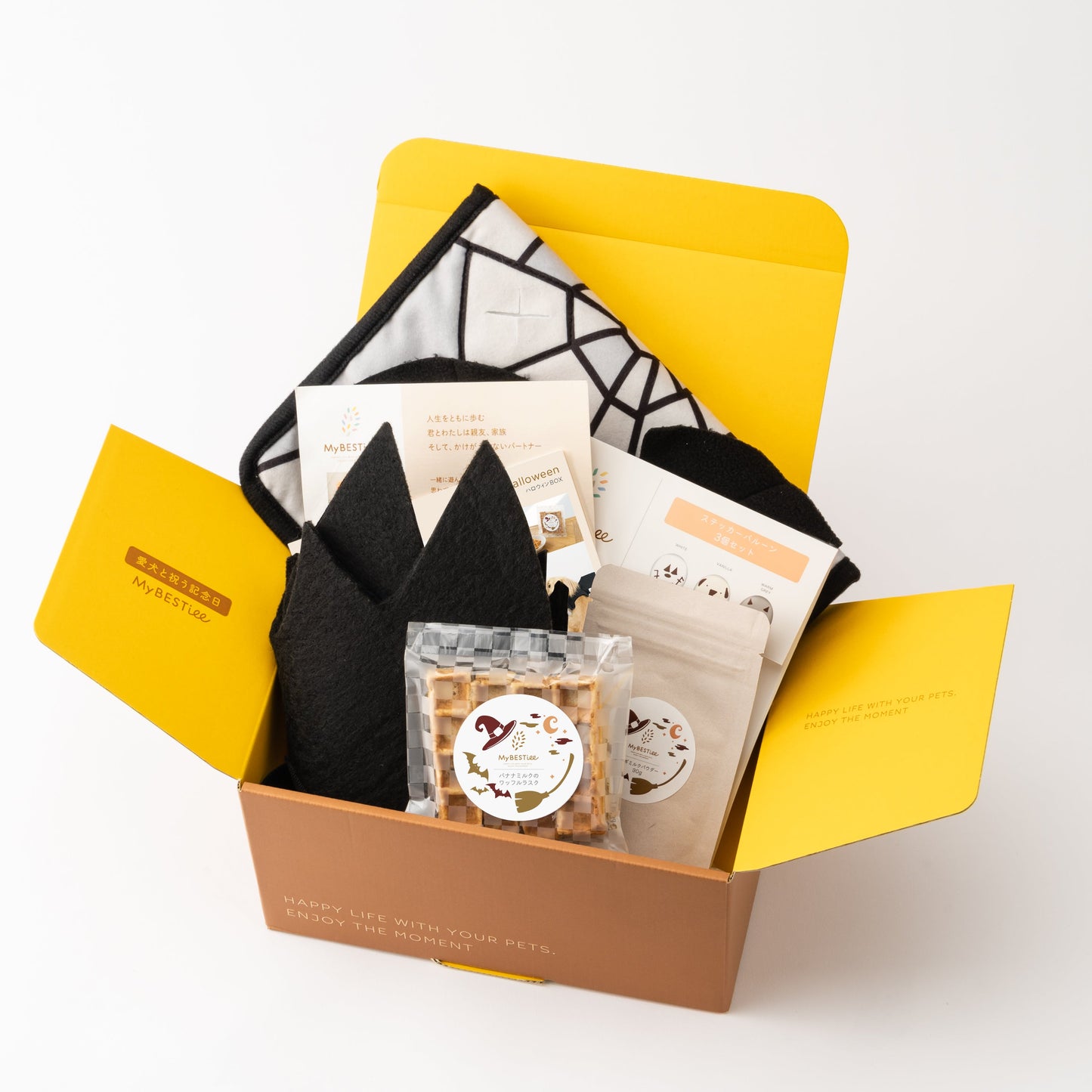 【限定価格・送料無料】ハロウィンBOX