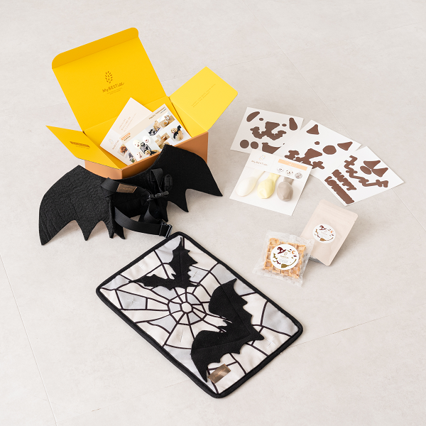 【限定価格・送料無料】ハロウィンBOX