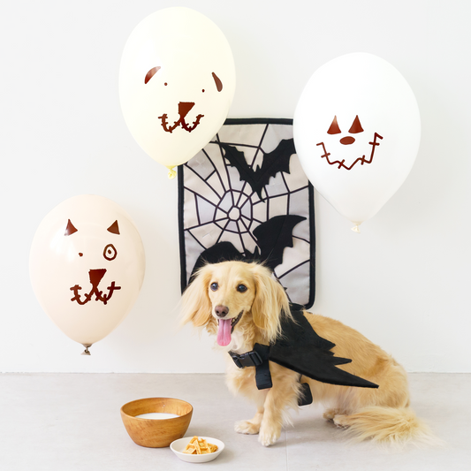 【送料無料】ハロウィンBOX