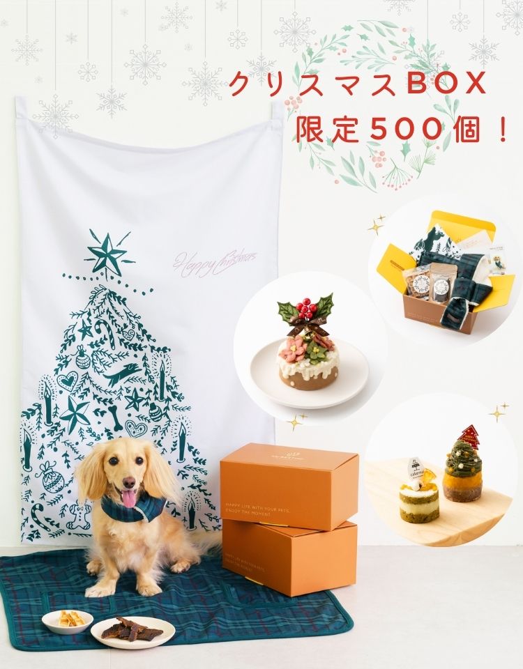 MyBESTiee l 愛犬の特別な一日をお祝いできるハッピーバースデーBOX