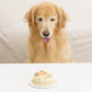 【送料無料】愛犬用 誕生日ケーキ フラワーセットE