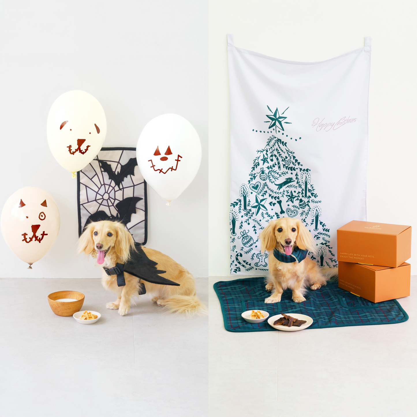 【限定価格・送料無料】ハロウィンBOX＆クリスマスBOXセット