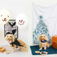 【限定価格】ハロウィンBOX＆クリスマスBOXセット