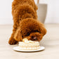 愛犬用 誕生日ケーキ フラワーセットC