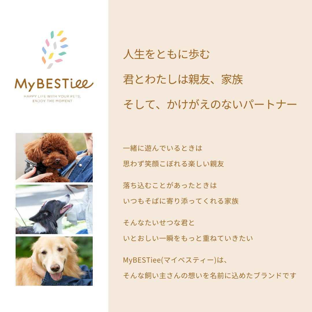 【限定価格・送料無料】愛犬用 アニバーサリーケーキ フラワー