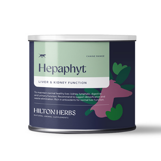 Hilton Herbs ヘパフィト for K9（60g）