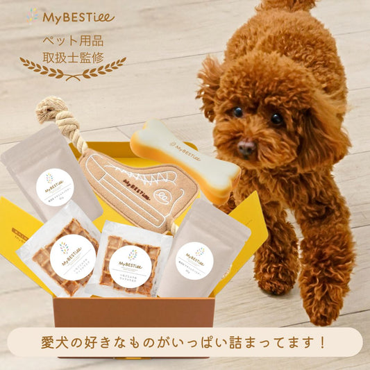 プレゼントBOX