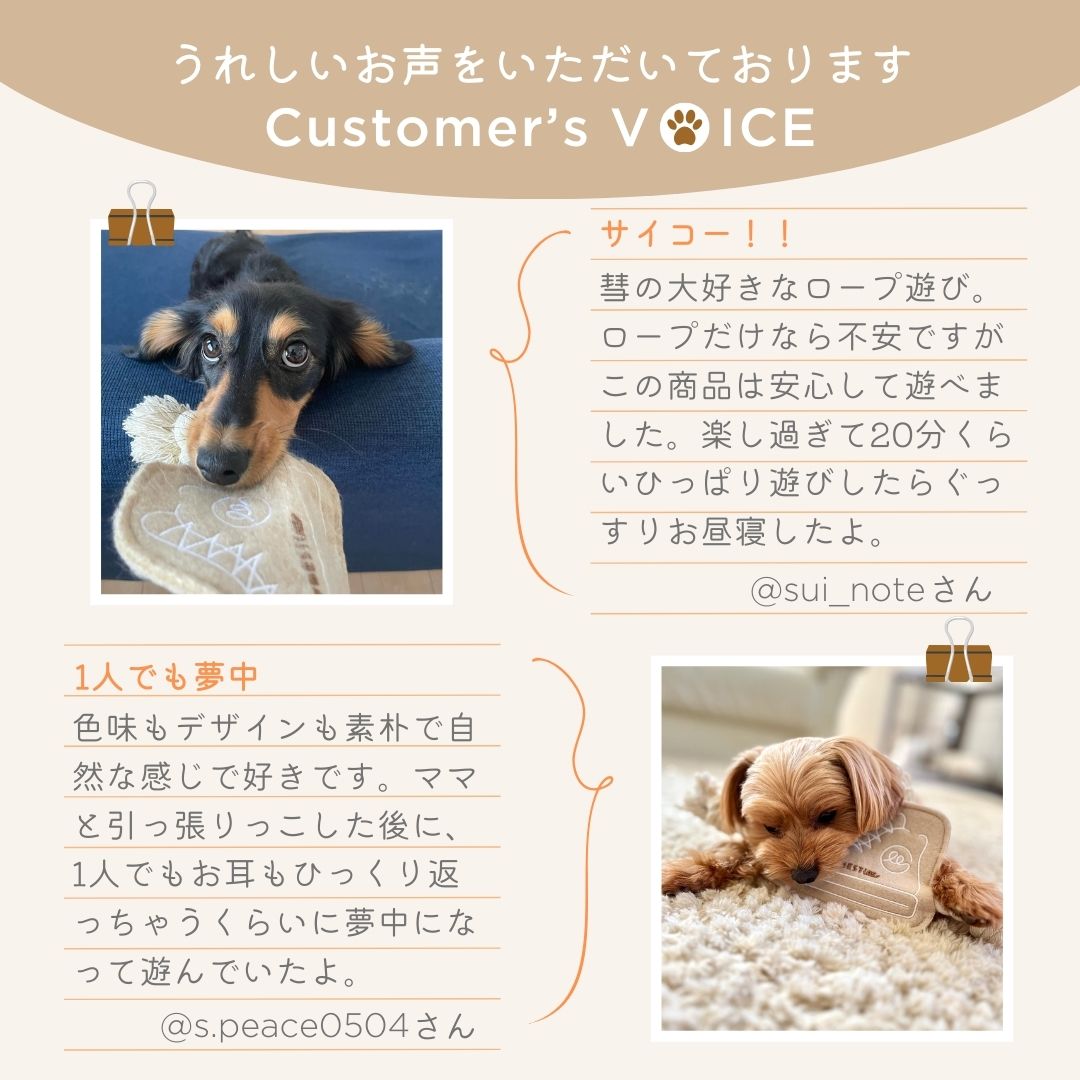 愛犬用 おもちゃセットA（カミカミボーン ラテックストイ＆ひっぱロープ スニーカー）