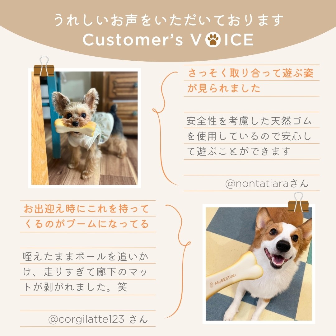 愛犬用 おもちゃセットA（カミカミボーン ラテックストイ＆ひっぱロープ スニーカー） – MyBESTiee