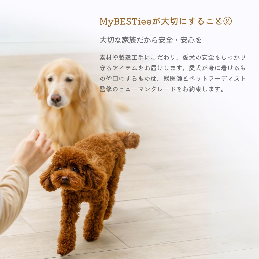 【送料無料】愛犬用 タルト2個セット ほうれん草のツリー＆かぼちゃと鰯（いわし）のタルト