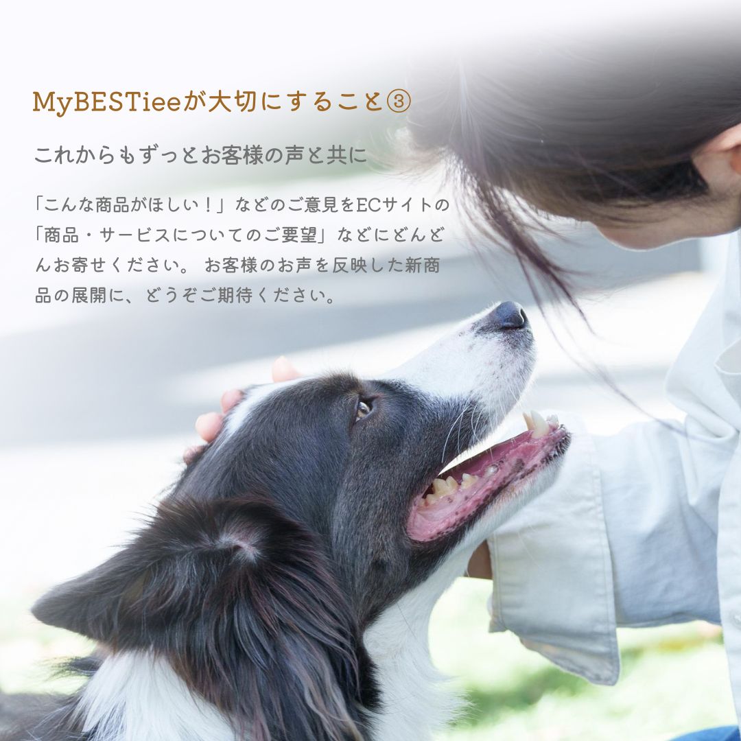 【送料無料】愛犬用 タルト2個セット ほうれん草のツリー＆かぼちゃと鰯（いわし）のタルト