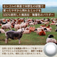 無添加 ヤギミルクパウダー 50g